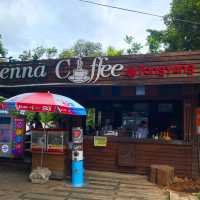 กิจกรรมสุดอลังการ เดอะจังเกิ้ล โป่งแยง (The Jungle