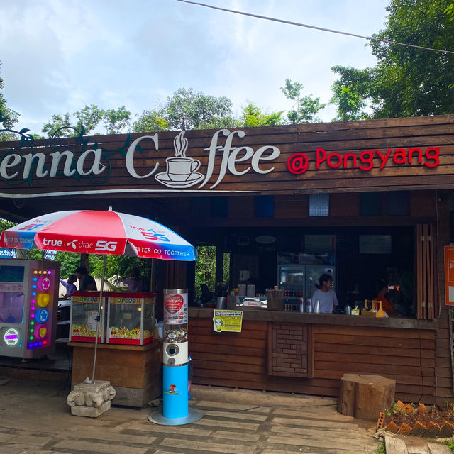 กิจกรรมสุดอลังการ เดอะจังเกิ้ล โป่งแยง (The Jungle