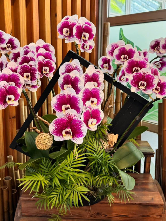香港公園🫶🏻期間限定香花展覽‼️週末好去處