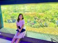 ตะลุยโลกใต้ทะเลที่อควาเรียมบางแสน 🌊🐠