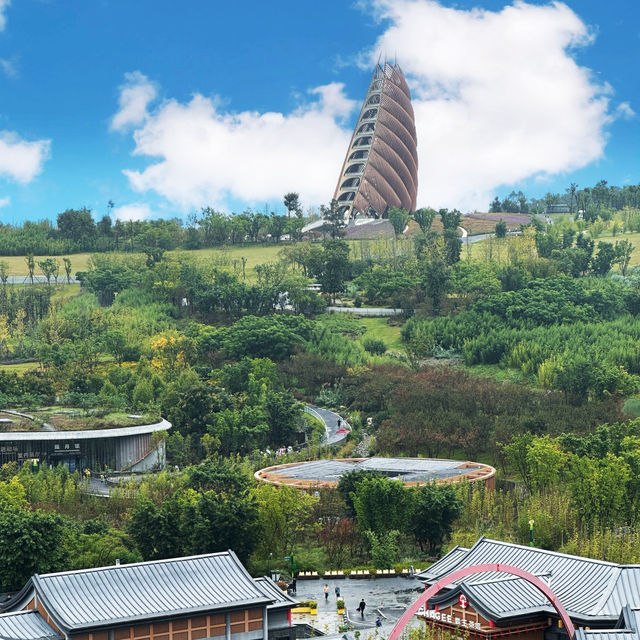   A Day in Panda Paradise: Exploring Chengdu Research Base