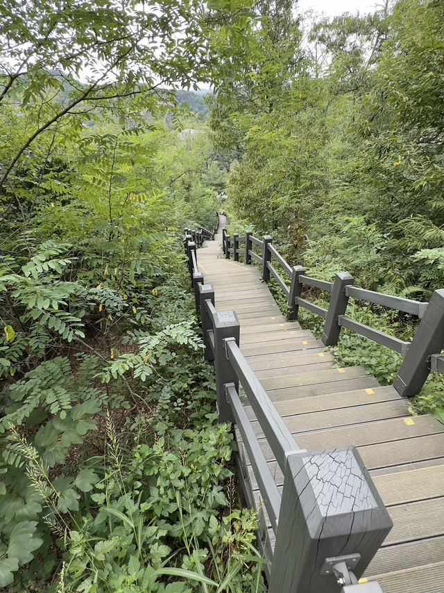 Hike in Seoul that is mostly stairs!
