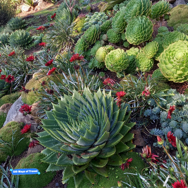 Larnach Castle Garden's Timeless Charm