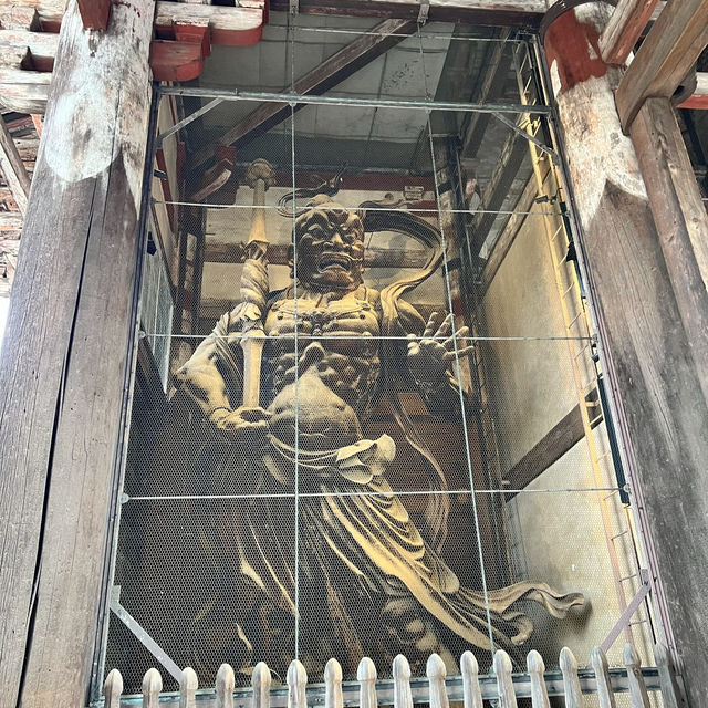 Todaiji Temple • เมืองนารา 🇯🇵 ญี่ปุ่น