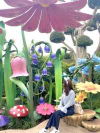 【香港】香港ディズニーランド・リゾート