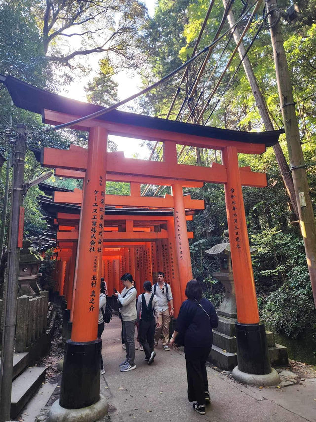Fushimi Inrai หรือวัดเสาแดงที่เกียวโต ⛩️✨