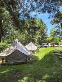Glamping with Fantastic view of Toba Lake 