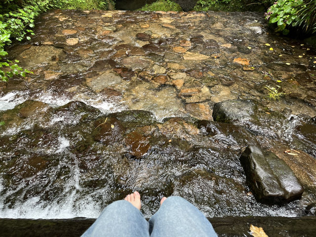 川床兵衞咖啡/獨自與自然喝口茶