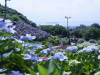 名古屋愛知縣景點：適合自駕遊 