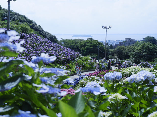 名古屋愛知縣景點：適合自駕遊 