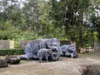 ป่าในเมือง ประตูสู่อันดามัน🐘