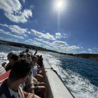 (Malta)宝石のような海を大満喫！！！