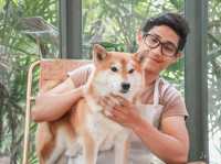 รีวิว Cafe de Chi คาเฟ่สำหรับน้องหมา 🐶 