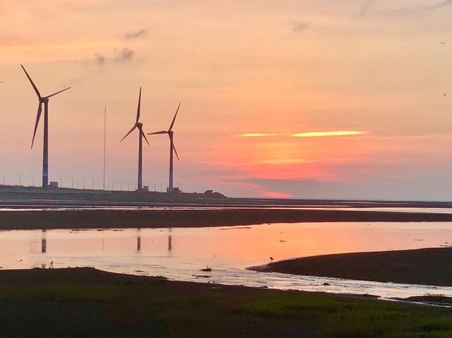 高美濕地✨絕佳日落觀賞景點🌅