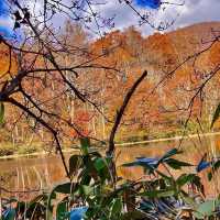 【福井】福井のおすすめ紅葉スポット！