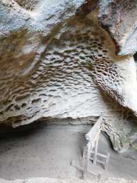 【東北×山形】 神秘的な雰囲気が漂う  隠れたパワースポットと驚きの鳥居