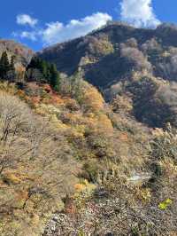 【新潟×日本の絶景】  渓谷の紅葉🍁が映し出される水面のリフレ  トンネル内も楽しめます！