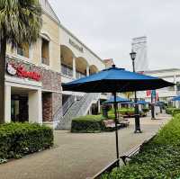 Shopping Spree & Scenic Charm at Rinku Premium Outlets!