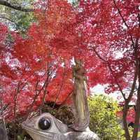 如意輪寺，紅葉呈現出夢幻美景