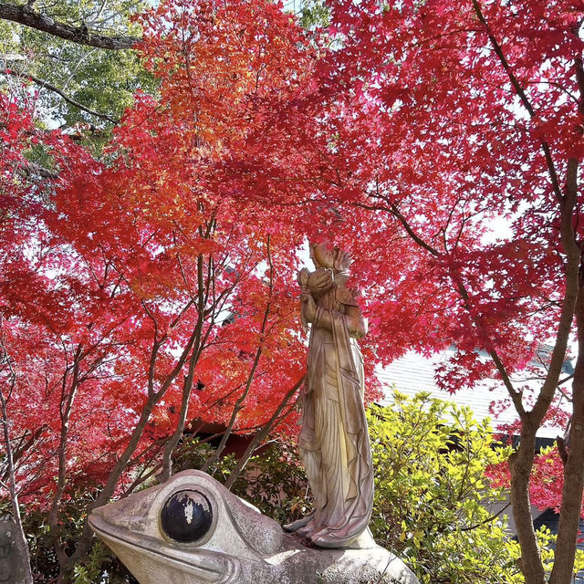 如意輪寺，紅葉呈現出夢幻美景