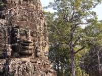 Temple lost in jungle