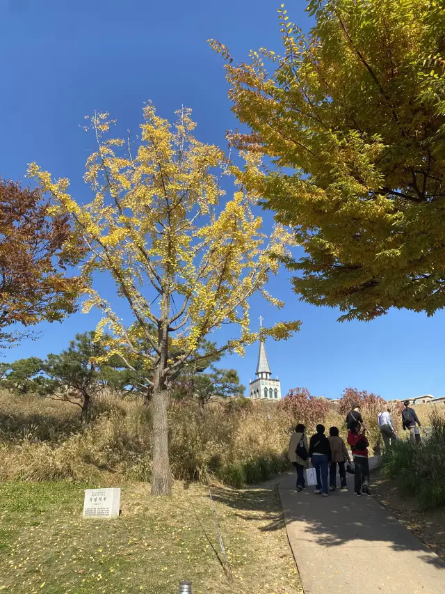 探索首爾寧靜的世外桃源：落山公園之美