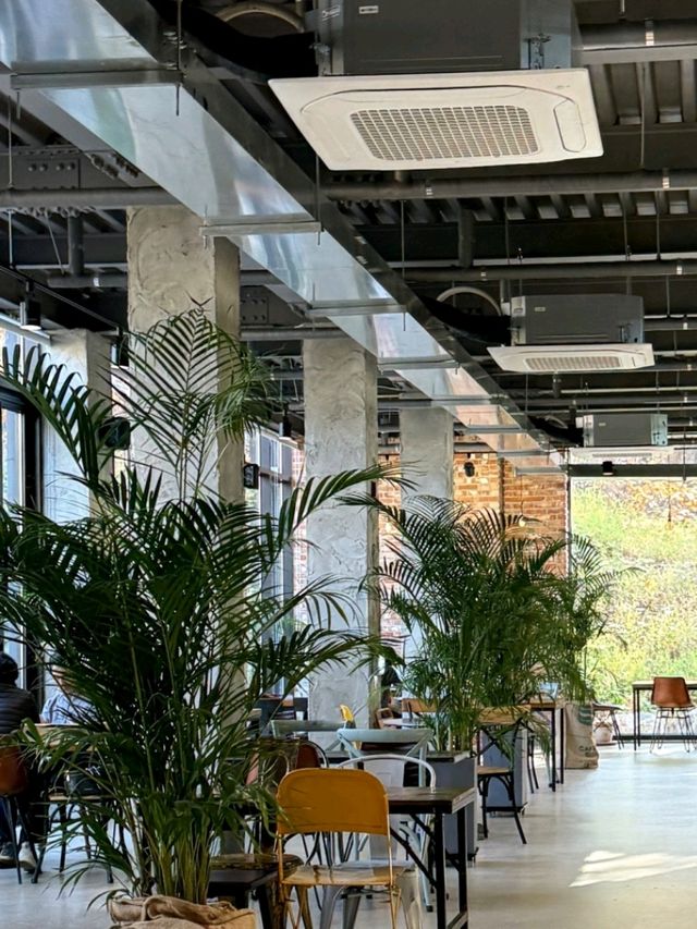 🍄🌲동탄 저수지, 대형 신상 카페 바스타미
