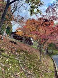 「負けきらい」の神社で