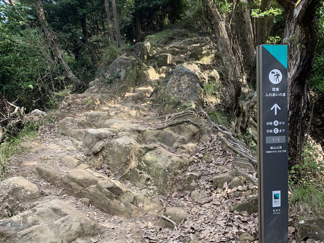鋸山登山！