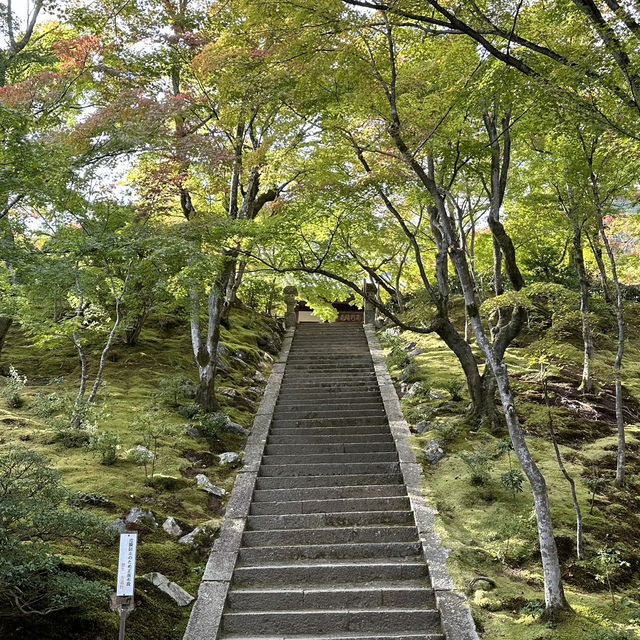 🍁 Nison-in Temple: A Peaceful Autumn Retreat in Arashiyama 🍁