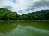 คลายหนาว..เที่ยวน้ำพุร้อนป่าตึง