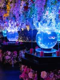 【銀座】アートアクアリウム美術館で金魚×クリスマス