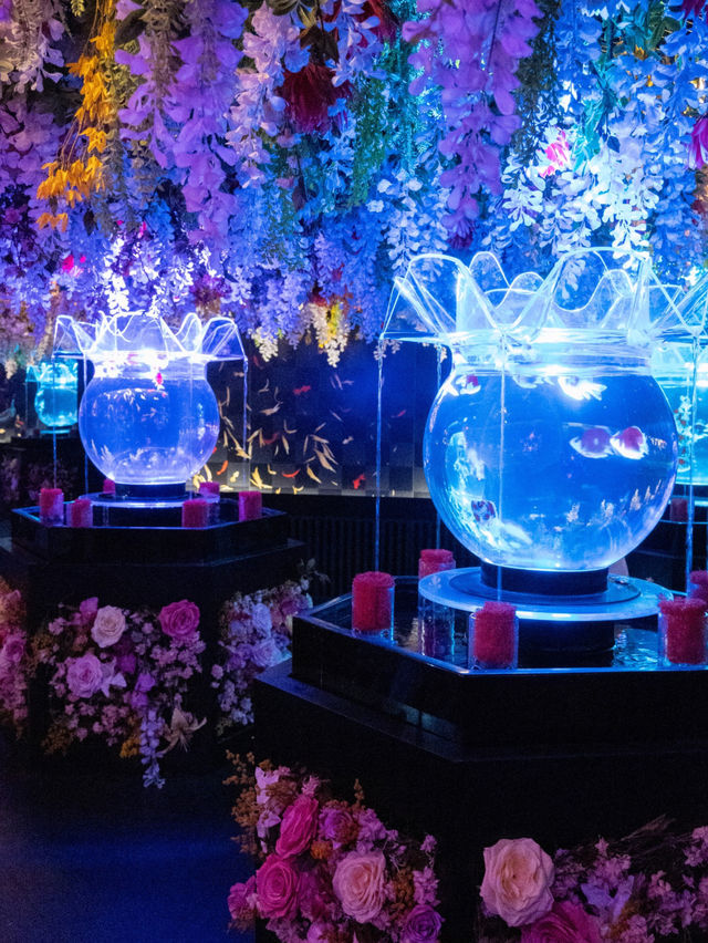 【銀座】アートアクアリウム美術館で金魚×クリスマス