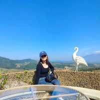 คาเฟ่ไม่ลับก่อนถึงสะปัน แวะม่อนกิ่วม่วง คาเฟ่ 