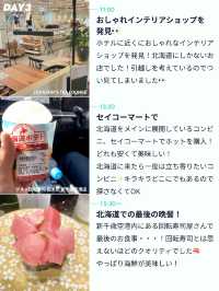 【北海道の食と景色を満喫🍜！札幌2泊3日モデルプラン❄️】