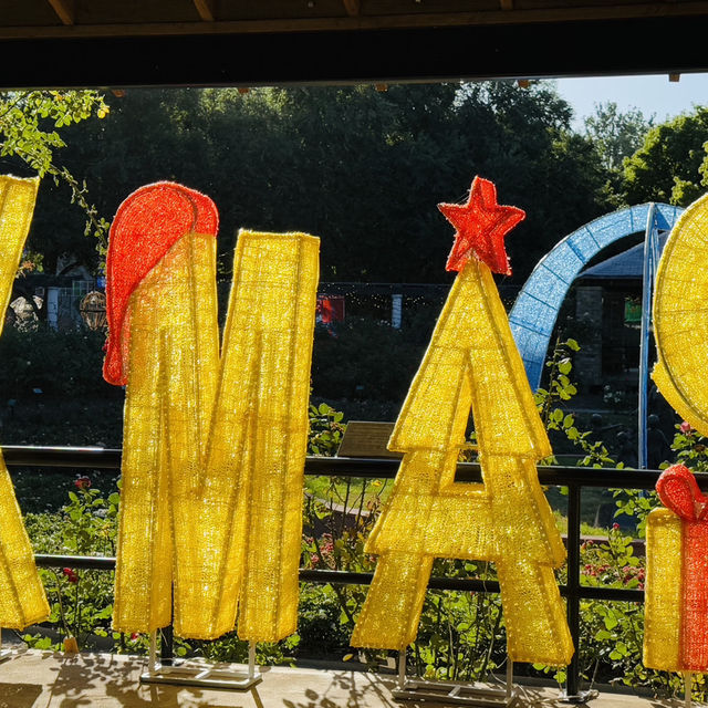 Christmas lights at Hunter valley gardens