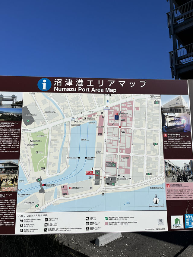 【沼津港🇯🇵】無料駐車場あり！海鮮食べるならここ！