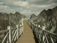 Flaring Rock Forest [Moshi Park in Autumn]
