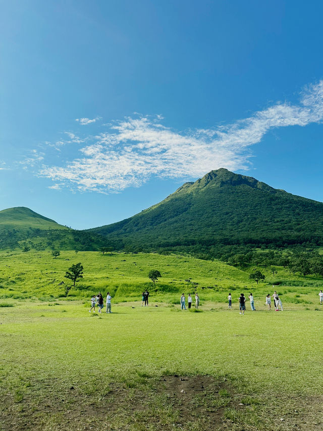 푸르른 녹음의 싱그런 유후다케(由布岳)! 😍🏔️
