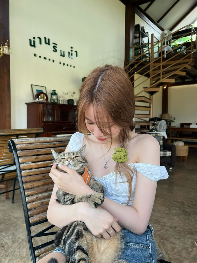 🌲🍃น่านริมน้ำ 🍵