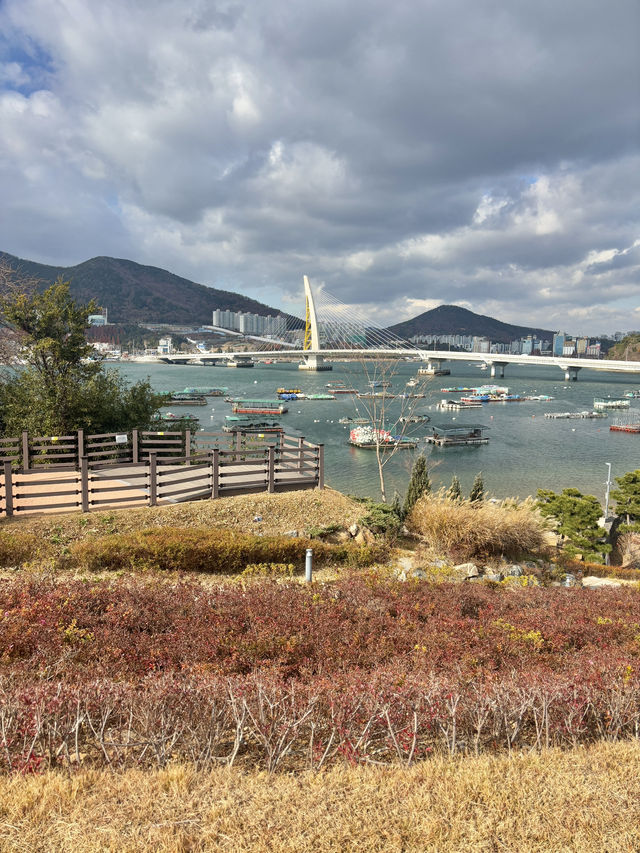 여수바다를 바라보며 둘레길을 걸을 수 있는 장도💙