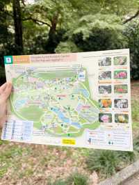 Shinjuku Gyoen National Garden สวนที่ควรมา