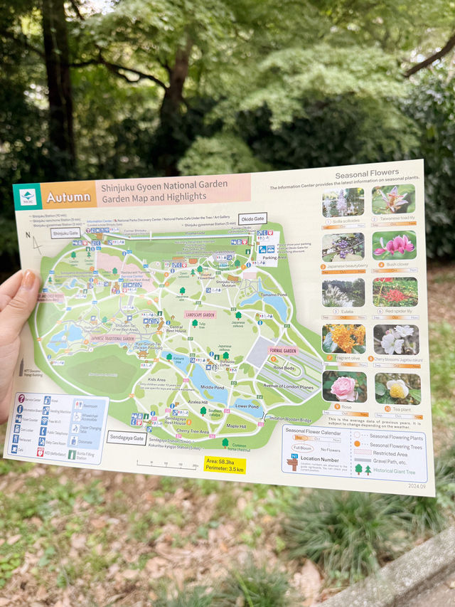 Shinjuku Gyoen National Garden สวนที่ควรมา