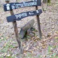 สะพานเรือนยอดไม้ จ.ตรัง