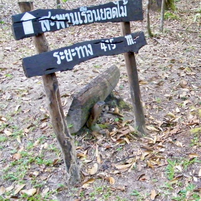 สะพานเรือนยอดไม้ จ.ตรัง