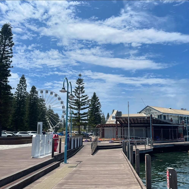 Fresh Catch Delight: Cicerellos Fremantle