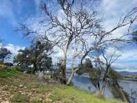 Enjoy a Scenic Walk Along Clarence Foreshore Trail