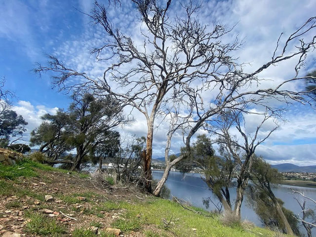 Enjoy a Scenic Walk Along Clarence Foreshore Trail