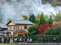 วัดกิโอจิ(Gio-ji Temple)