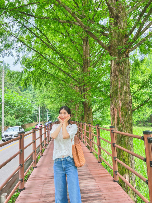 광릉수목원길 & 봉선사 산책 코스 